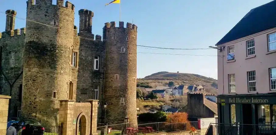 Enniscorthy Castle’s stone towers in sunlight with nearby town buildings and a hilltop in the background.